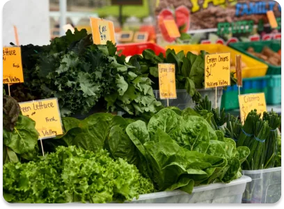 Gilbert Farmers Market
