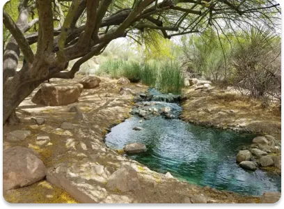 Riparian Preserve at Water Ranch