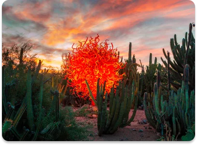 Xeriscape Botanical Gardens